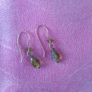 🌿 Iridescent Earrings